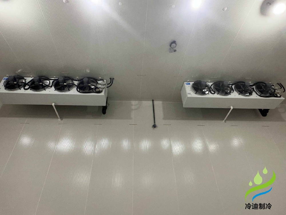 10000立方鋰電池防爆冷庫工程案例